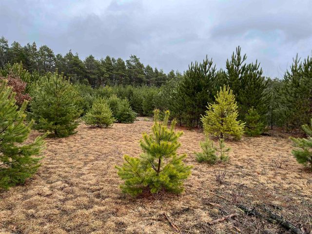 10299 Levi Lane, Kingsley, MI 49649