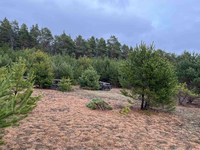 10299 Levi Lane, Kingsley, MI 49649