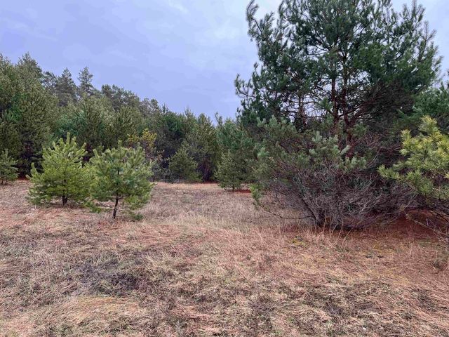 10299 Levi Lane, Kingsley, MI 49649