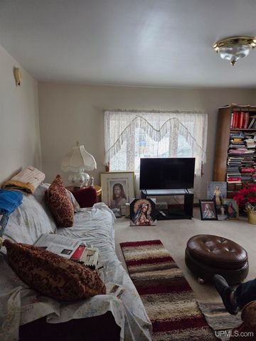 28206 Ninth Street 3, Lake Linden, MI 49945