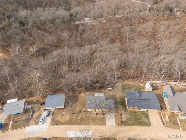2917 Raw Wind Drive, High Ridge, MO 63049