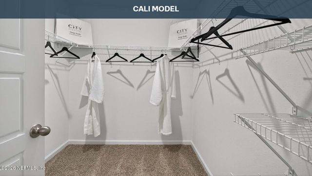 4137 CAPER TREE Way, Jacksonville, FL 32218