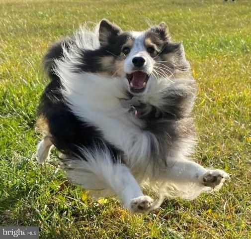 1195 MOUNTAIN VIEW DR, Rileyville, VA 22650