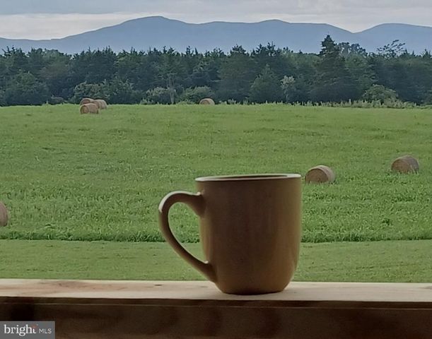 1195 MOUNTAIN VIEW DR, Rileyville, VA 22650