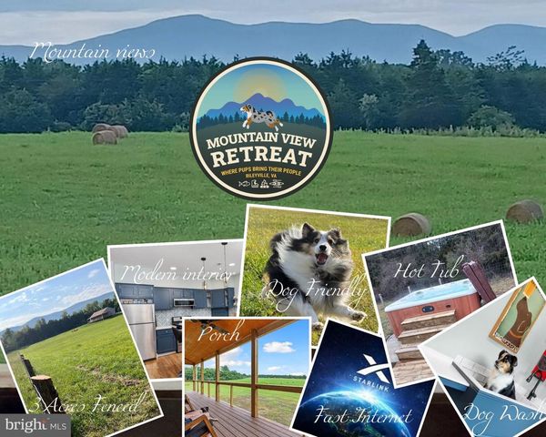 1195 MOUNTAIN VIEW DR, Rileyville, VA 22650