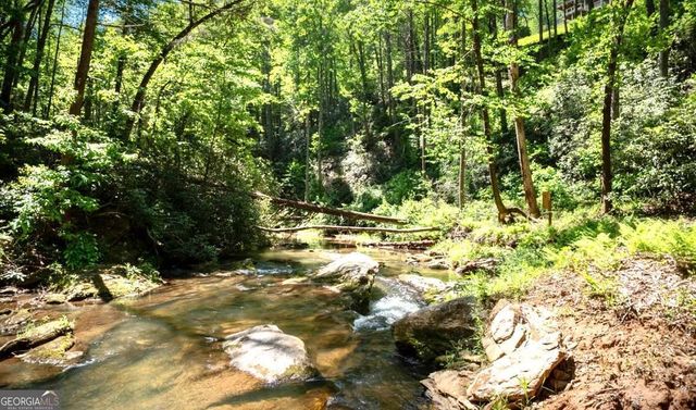 106 Nimblewill Overlook, Dahlonega, GA 30533