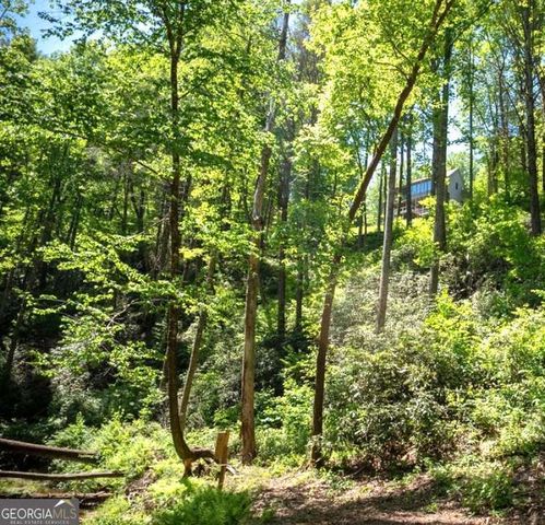 106 Nimblewill Overlook, Dahlonega, GA 30533
