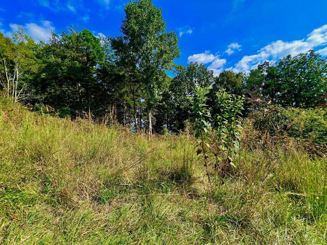 T-5 Talona Mountain Road, Ellijay, GA 30536