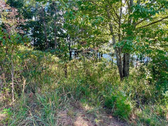 T-5 Talona Mountain Road, Ellijay, GA 30536