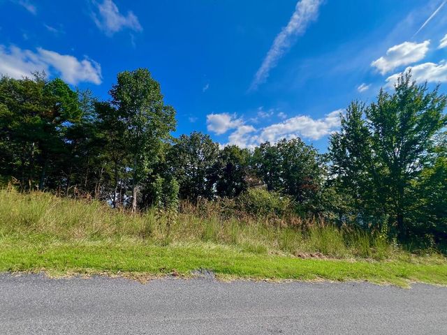 T-5 Talona Mountain Road, Ellijay, GA 30536