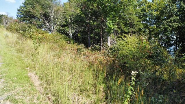 T-5 Talona Mountain Road, Ellijay, GA 30536