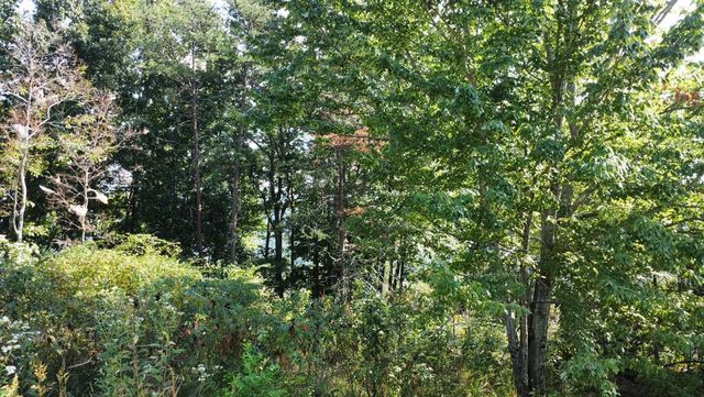 T-5 Talona Mountain Road, Ellijay, GA 30536