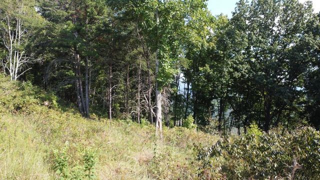 T-5 Talona Mountain Road, Ellijay, GA 30536