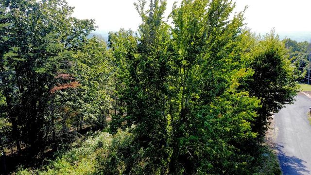 T-5 Talona Mountain Road, Ellijay, GA 30536