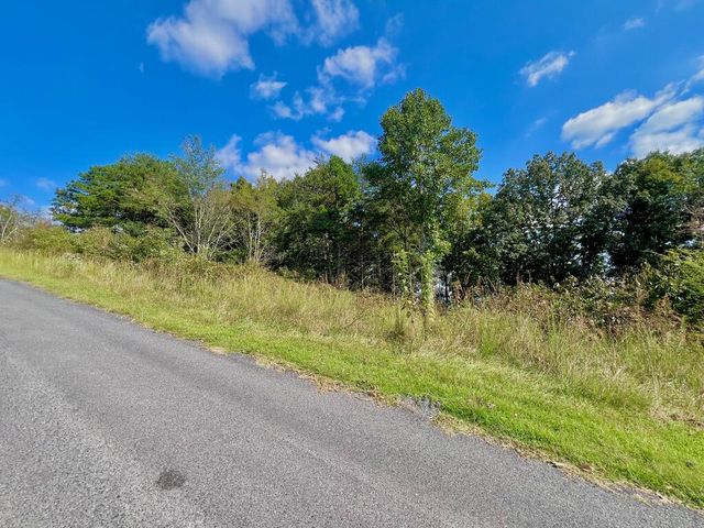 T-5 Talona Mountain Road, Ellijay, GA 30536