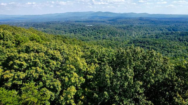 T-5 Talona Mountain Road, Ellijay, GA 30536