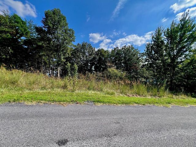 T-5 Talona Mountain Road, Ellijay, GA 30536