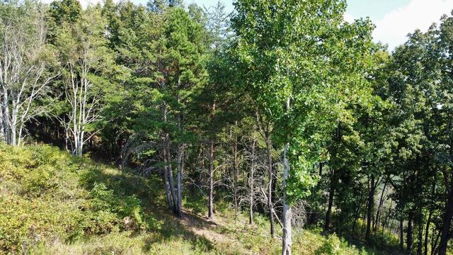 T-5 Talona Mountain Road, Ellijay, GA 30536