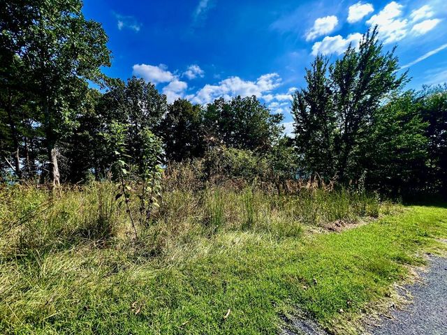 T-5 Talona Mountain Road, Ellijay, GA 30536