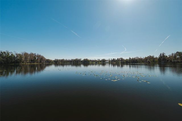 602 DRUID WAY, Lutz, FL 33548