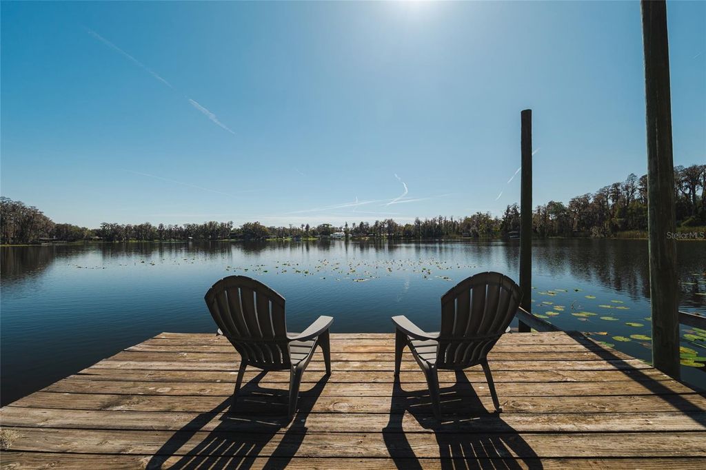 Image 62 of property listing at 602 DRUID WAY, Lutz, FL 33548