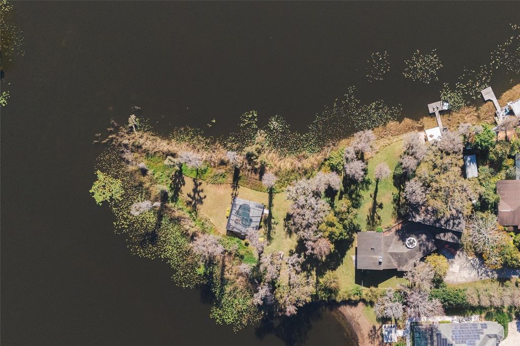 Image 81 of property listing at 602 DRUID WAY, Lutz, FL 33548