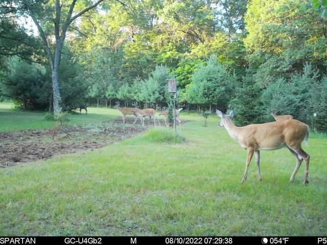 N7164 19th Road, Neshkoro, WI 54960