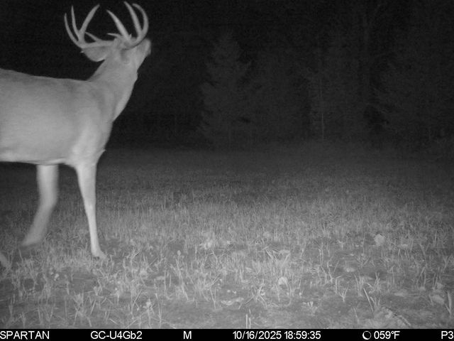 N7164 19th Road, Neshkoro, WI 54960