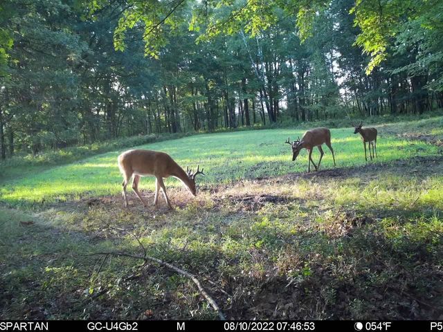 N7164 19th Road, Neshkoro, WI 54960