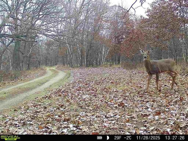 N7164 19th Road, Neshkoro, WI 54960