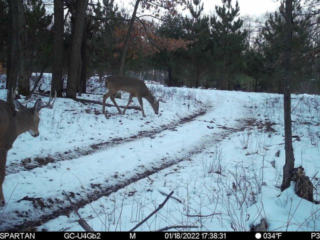 N7164 19th Road, Neshkoro, WI 54960