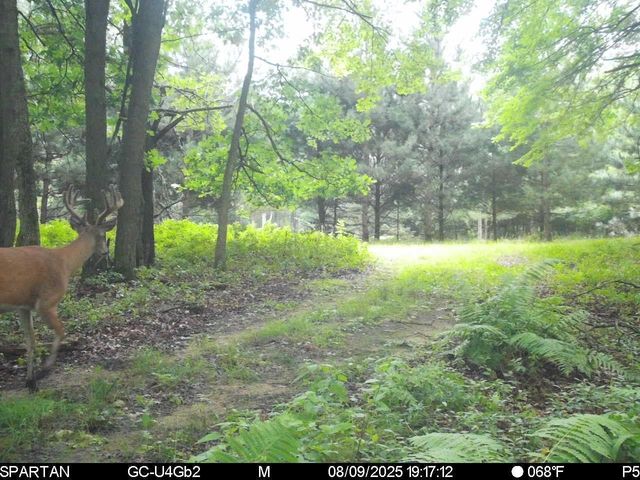 N7164 19th Road, Neshkoro, WI 54960