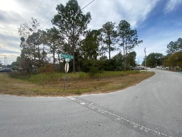 0 HEMLOCK LOOP COURSE, Ocala, FL 34472