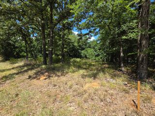 0 Hickory Street Lot 91, Mabank, TX 75156