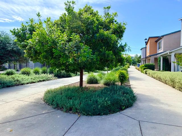 3216 Koso Ter, Davis, CA 95618