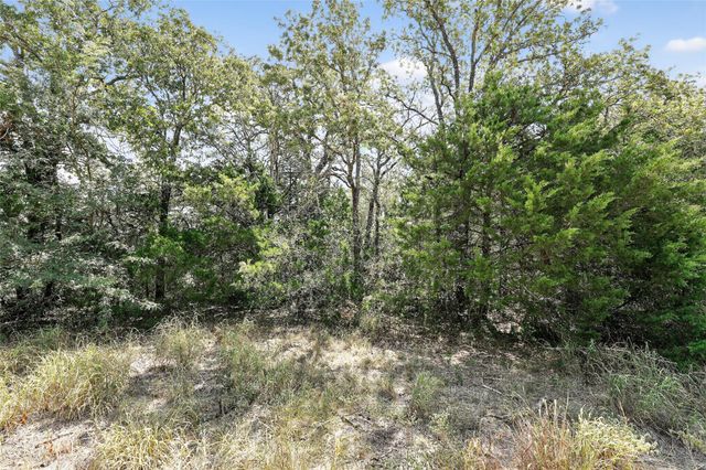 TBD TRACT B McDonald LN W J, Cedar Creek, TX 78612