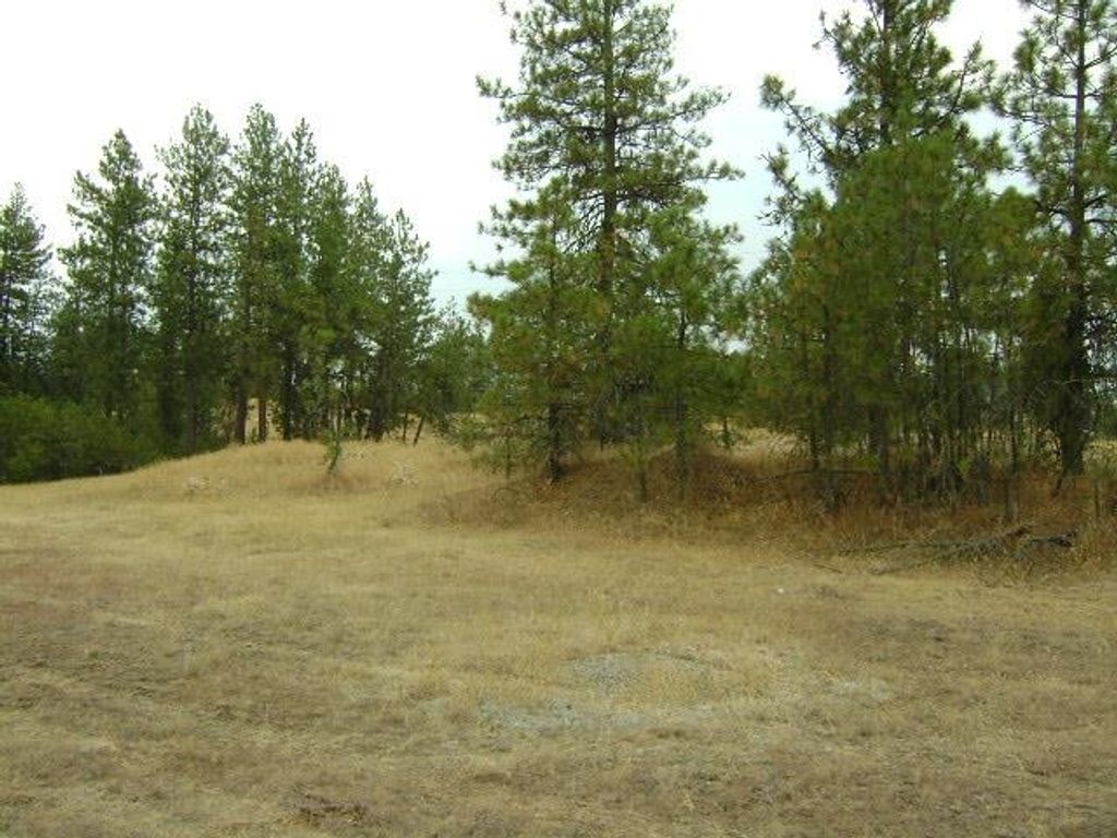 TBD W 28th Ave, Spokane, WA 99224 photo 4