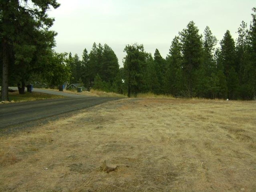 TBD W 28th Ave, Spokane, WA 99224 photo 6