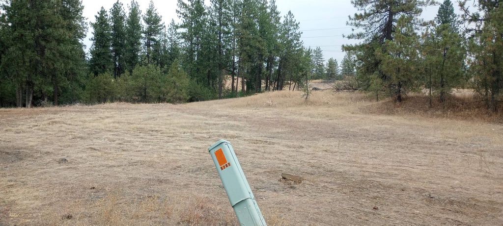 TBD W 28th Ave, Spokane, WA 99224 photo 7
