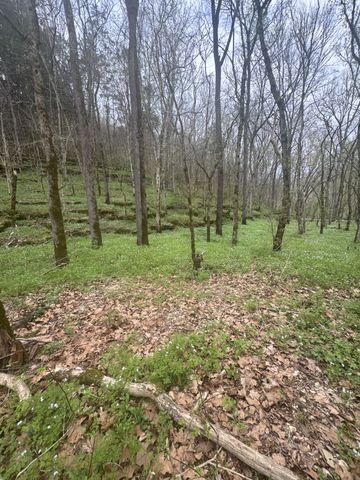 0 McBroom Branch Rd, Baxter, TN 38544