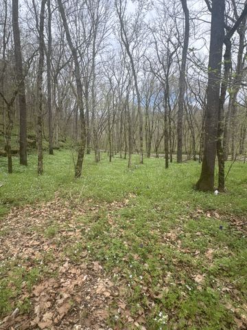 0 McBroom Branch Rd, Baxter, TN 38544