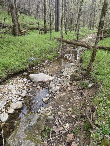 0 McBroom Branch Rd, Baxter, TN 38544
