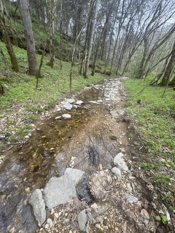 0 McBroom Branch Rd, Baxter, TN 38544