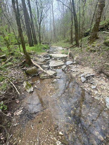 0 McBroom Branch Rd, Baxter, TN 38544