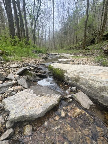 0 McBroom Branch Rd, Baxter, TN 38544