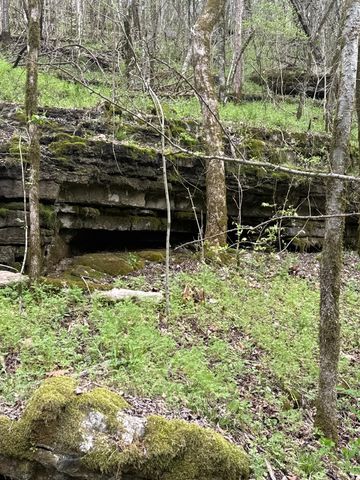 0 McBroom Branch Rd, Baxter, TN 38544
