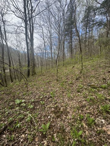 0 McBroom Branch Rd, Baxter, TN 38544