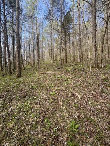 0 McBroom Branch Rd, Baxter, TN 38544