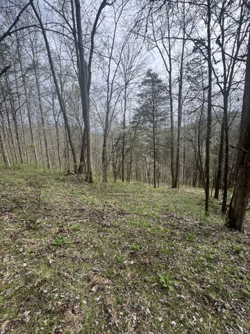 0 McBroom Branch Rd, Baxter, TN 38544