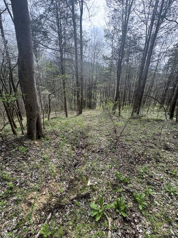 0 McBroom Branch Rd, Baxter, TN 38544